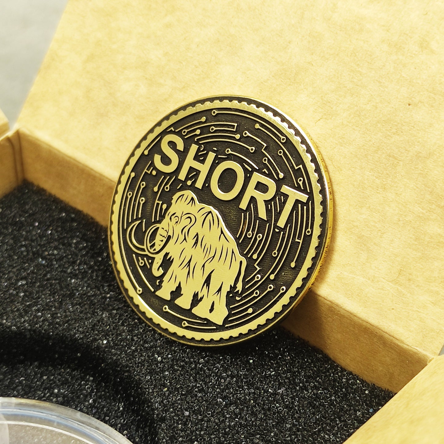 Brass "LONG / SHORT" Mammoth Coin — Decision-Making Coin with Custom Engraving