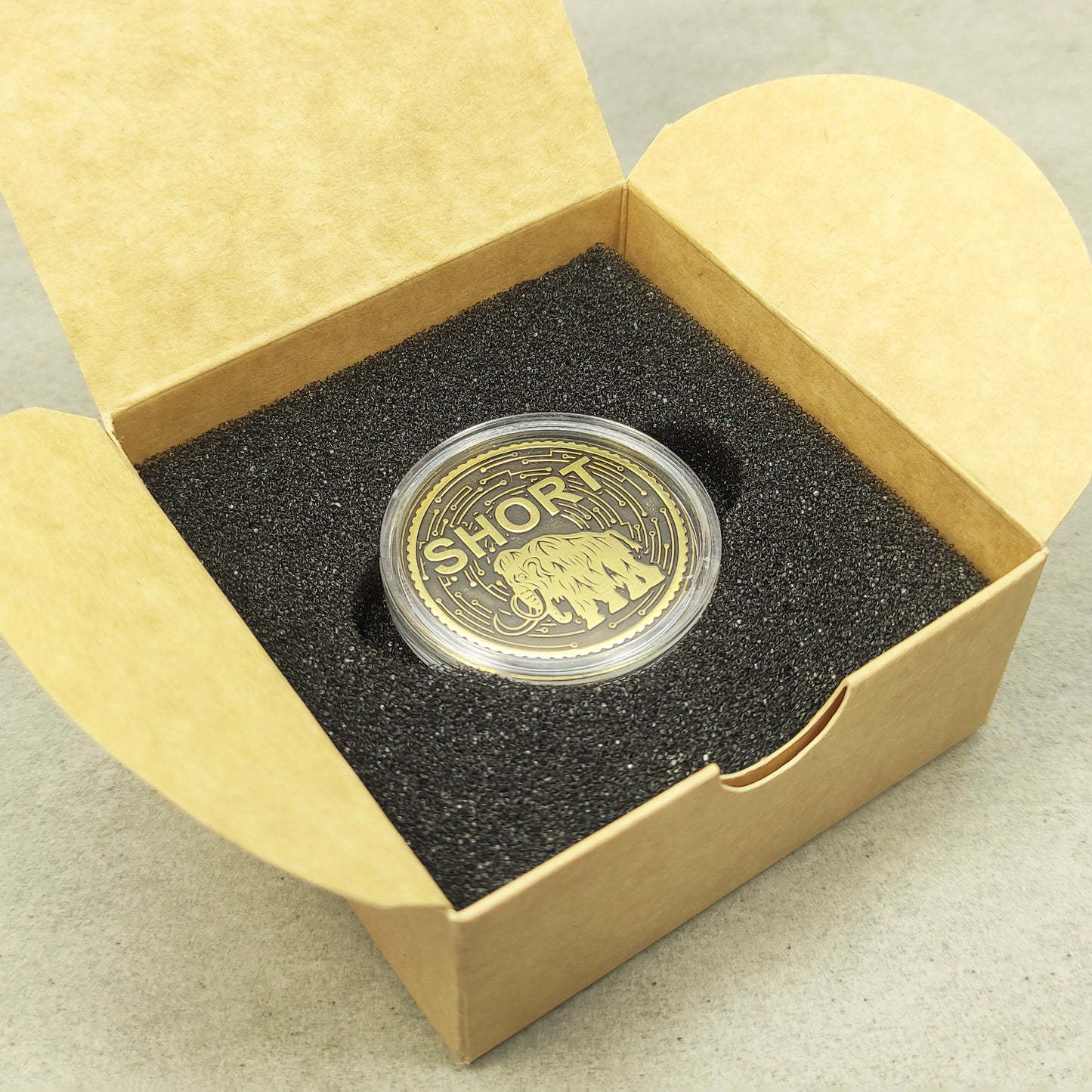 Brass "LONG / SHORT" Mammoth Coin — Decision-Making Coin with Custom Engraving